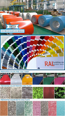 Βαμμένο PVDF Color Coated PE Aluminium Coil 1060 3003 3004 5052